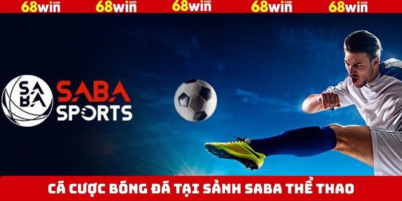 Cá độ bóng đá uy tín trên SABA