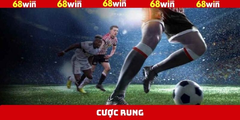 Cược Rung 68Win - Chiến Thuật Cược Thông Minh Cho Người Chơi
