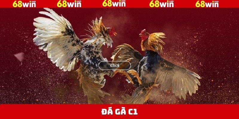 Đá Gà C1 68Win – Đỉnh Cao Cá Cược, Đam Mê Bùng Nổ 