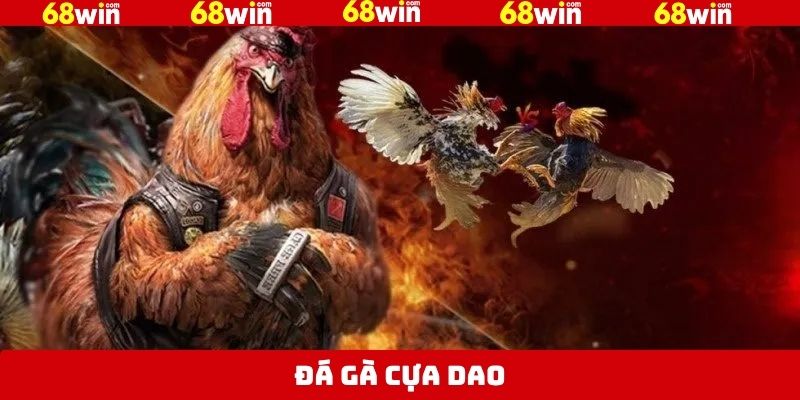 Đá Gà Cựa Dao - Bùng Nổ Với Các Trận Chiến Tại 68WinĐá Gà Cựa Dao - Bùng Nổ Với Các Trận Chiến Tại 68Win