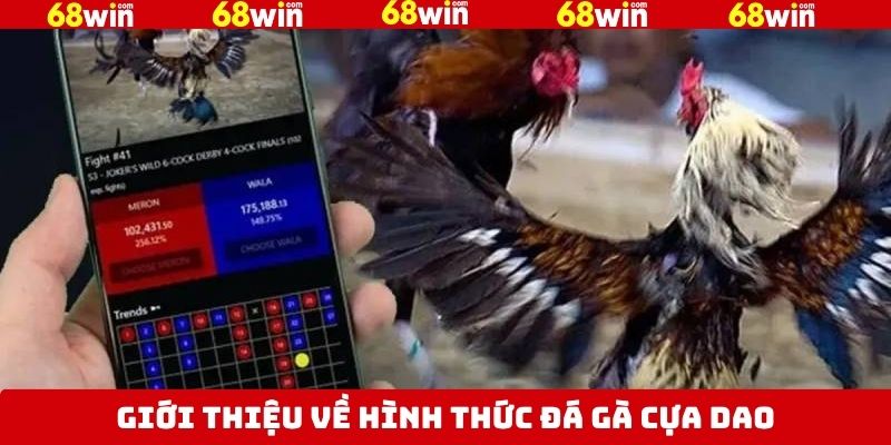 Tóm gọn vài nét về loại hình giải trí đang được ưa chuộng