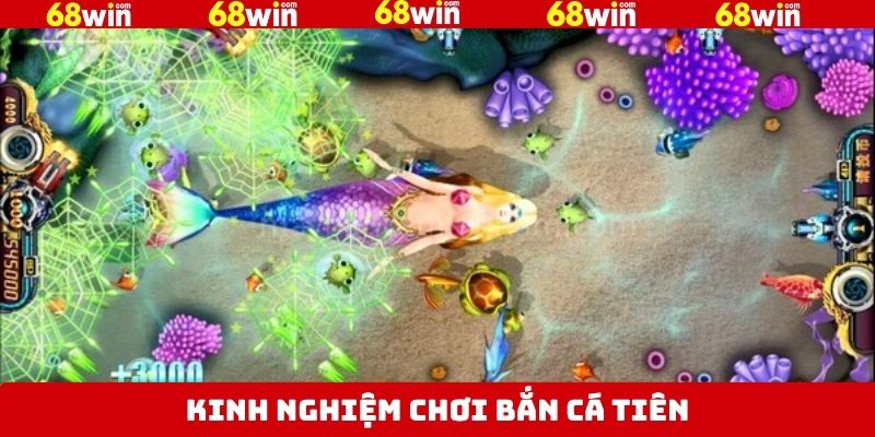 Tổng hợp chiến thuật săn cá đổi thưởng hiệu quả