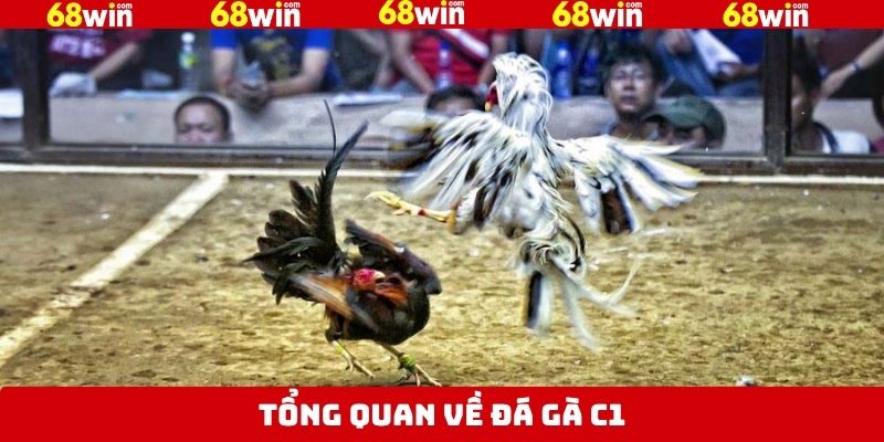 Thông tin về loại hình chọi kê C1 nên nắm 