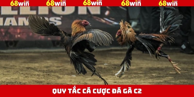 Cần nắm rõ từng loại cược cơ bản