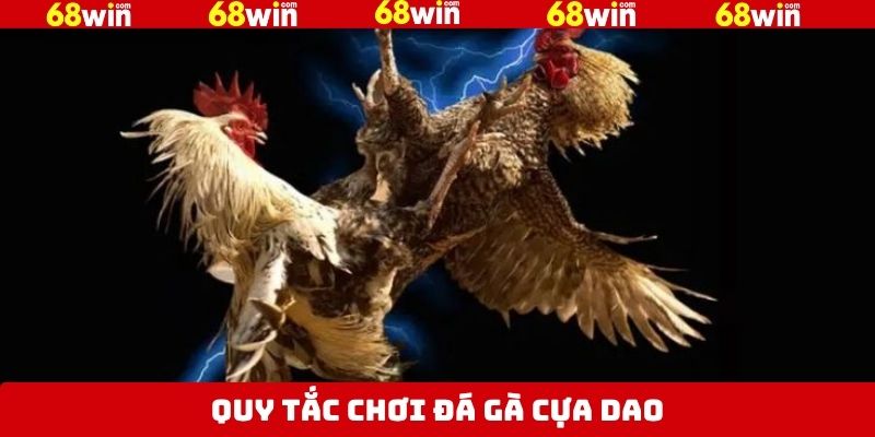 Quy luật cơ bản nhất trong đá gà cựa dao