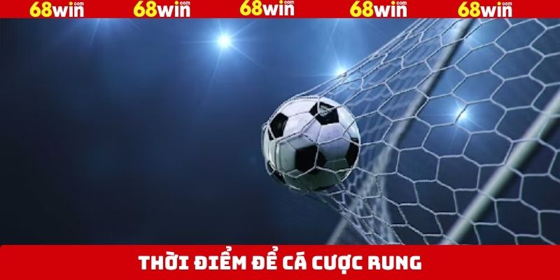 Nắm bắt thời gian cược rung hiệu quả tại nhà cái 