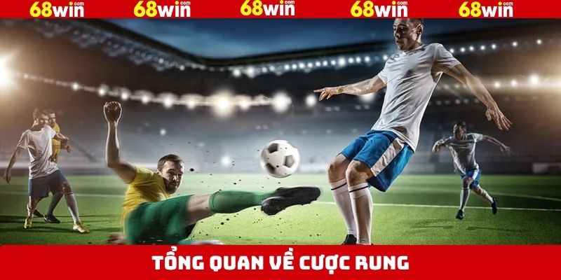 Nội dung tổng quan về hình thức kèo rung 